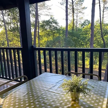 Apartment Charme & Nature - 2 Chambres, Cosy, Lac, Golf, Piscine, Terrasse, Parking, 2 A 5 Pers Max Biscarrosse
